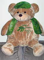 Ebroidered Stitches Teddy Bear